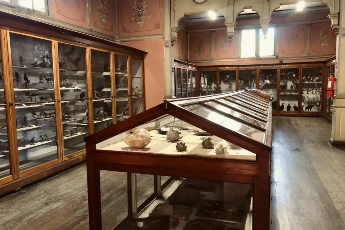 Museo Seminario Valparaíso