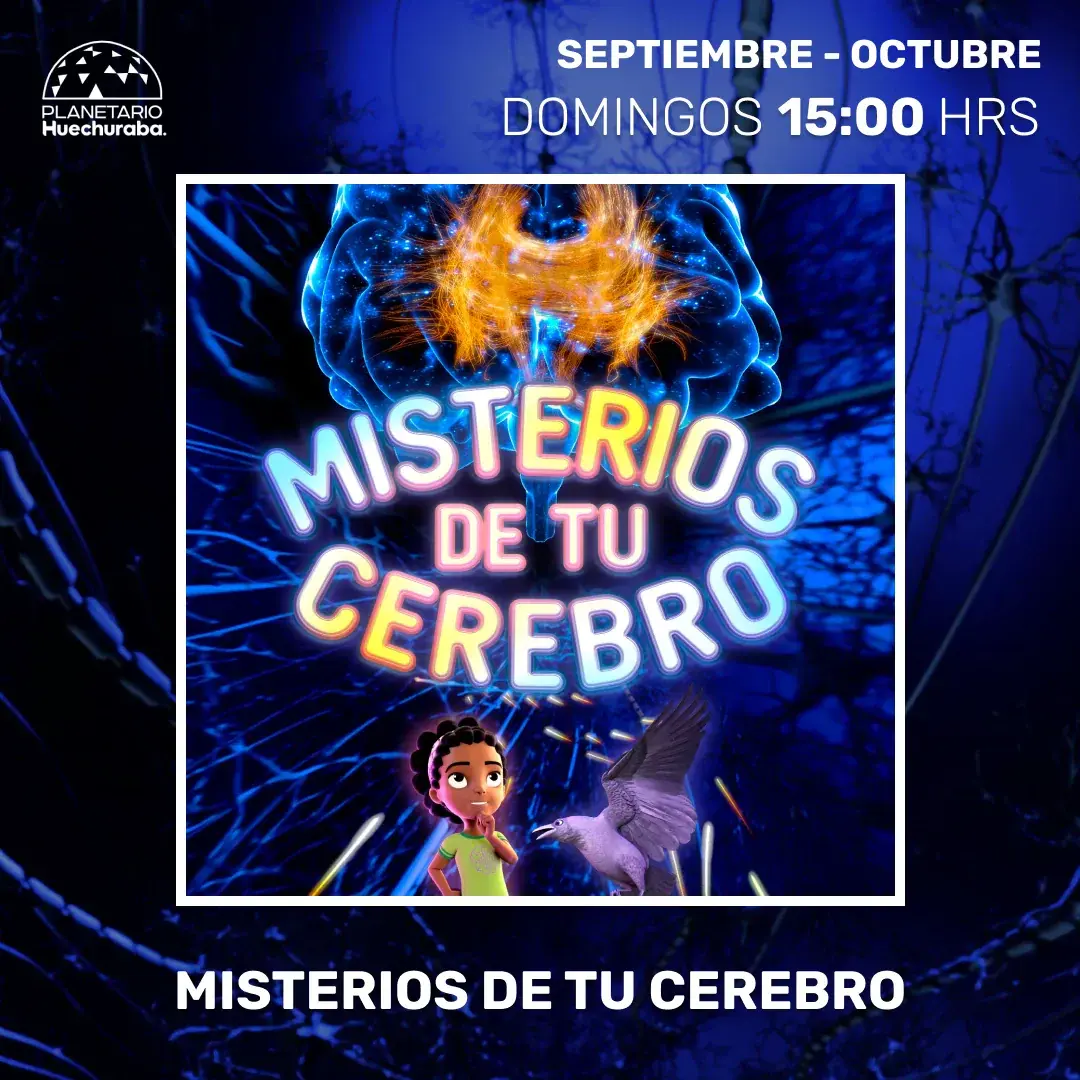 MISTERIOS DE TU CEREBRO