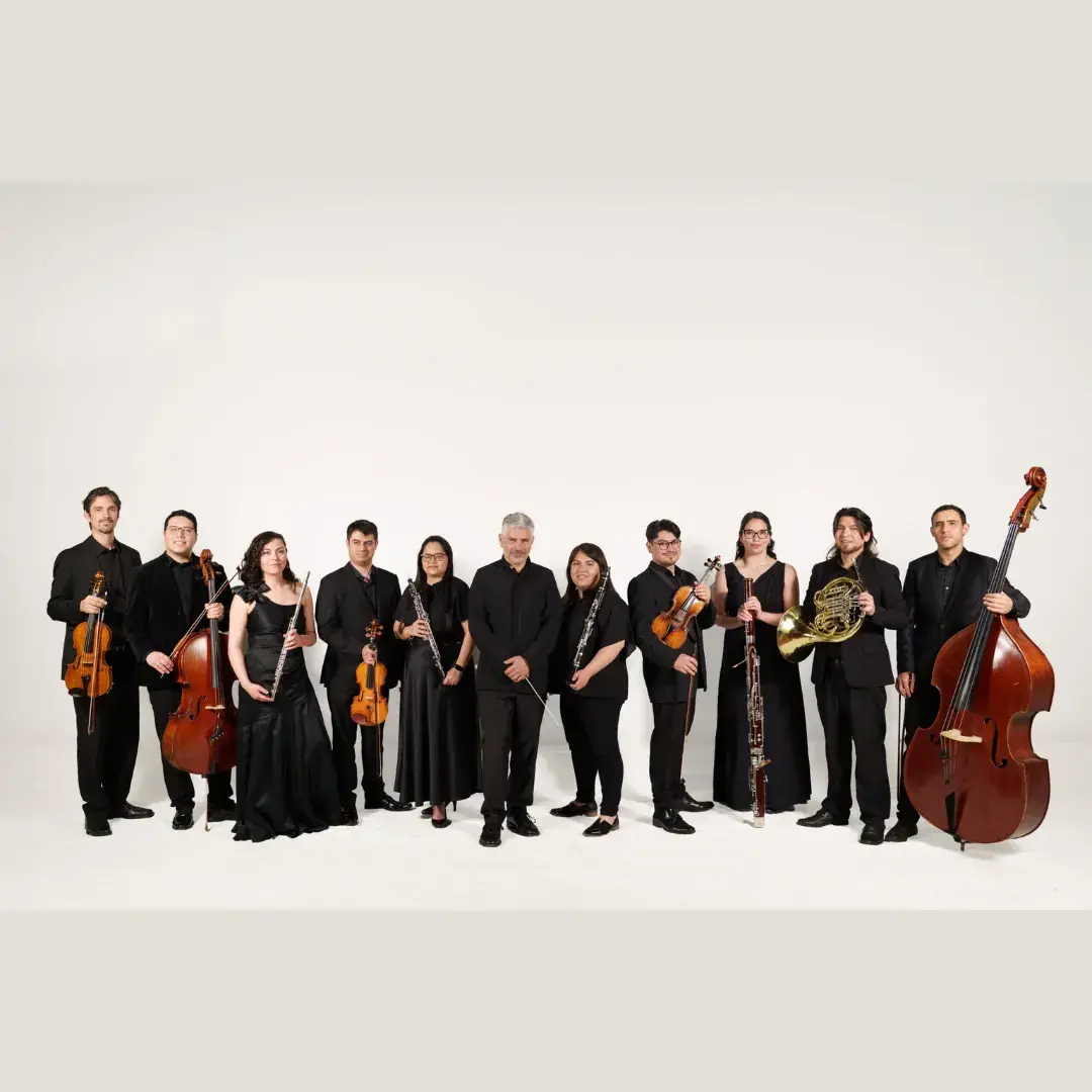 Grandes Invitados: Orquesta de Camara de Valdivia