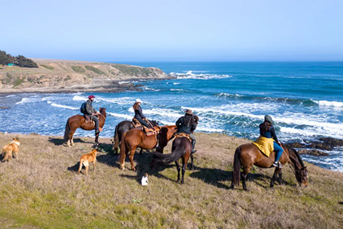 Cabalgata Pichitrips